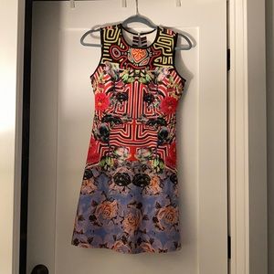 Beautiful Clover Canyon dress